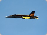 IMG_5293