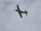 IMG_6384