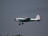 043A8036