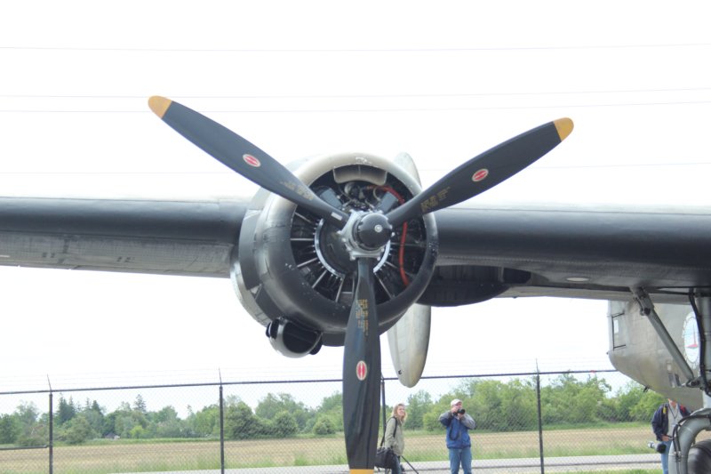 b24an249273.jpg