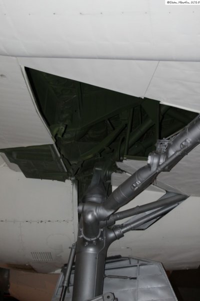 b3652222012.jpg