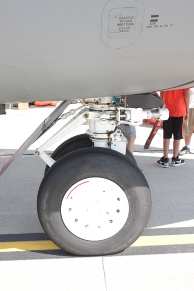 kc1355915122.jpg
