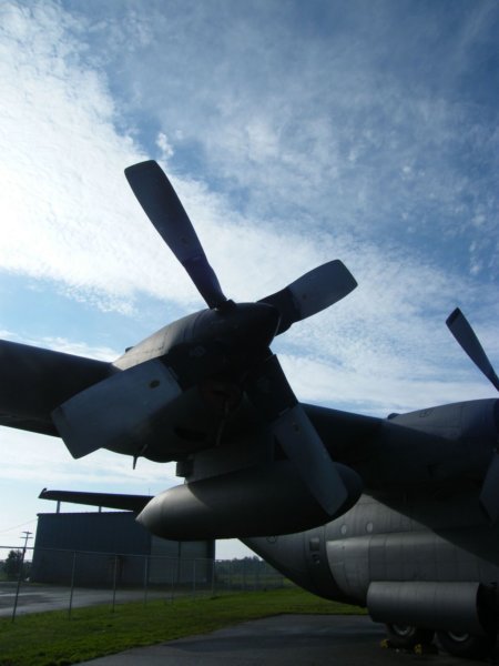 c1309191432.jpg