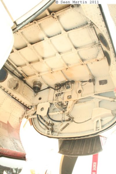c21641447.jpg