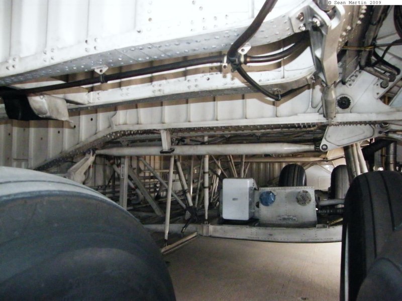 c5m8600135.jpg