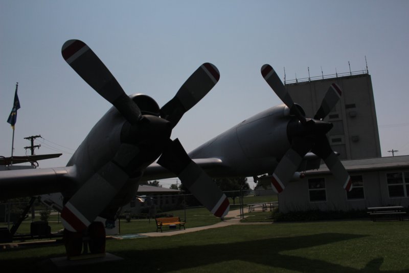 p31527484.jpg