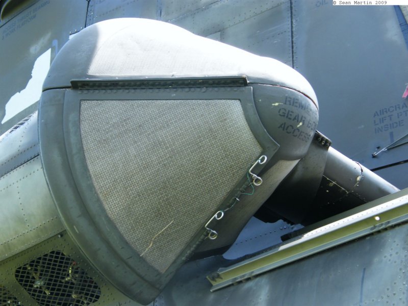 chinook90002168.jpg