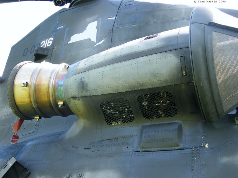 chinook90002169.jpg