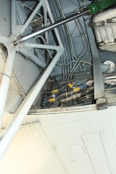 dc3cgdak5.jpg