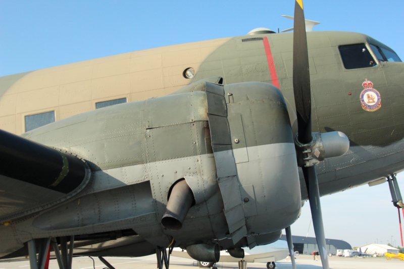 dc3cgdak7.jpg