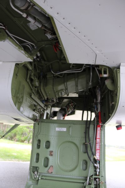 f1003.jpg