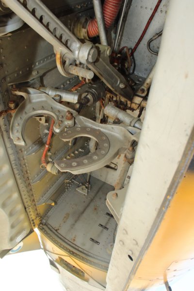 cf1041047564.jpg