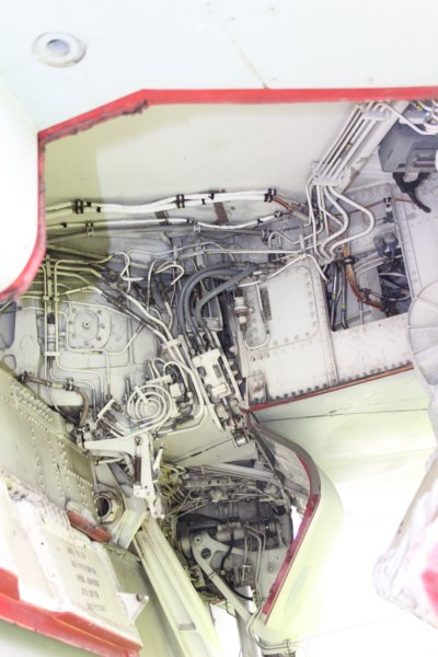 f141616054.jpg