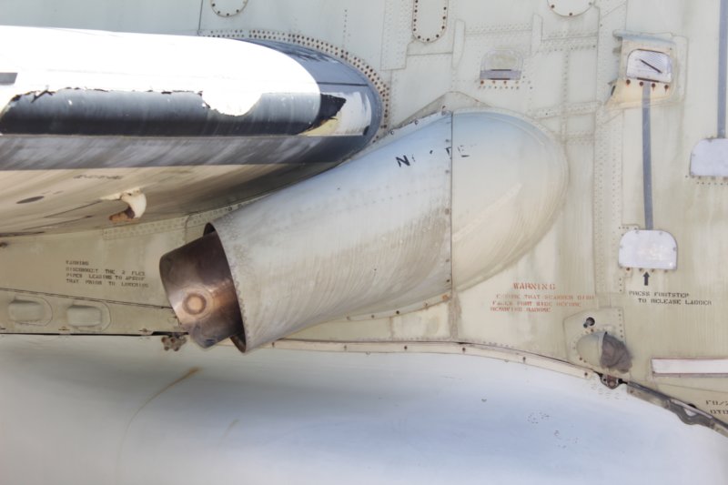 gannetxl48210.jpg