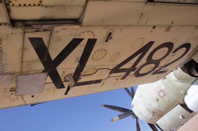 gannetxl4825.jpg