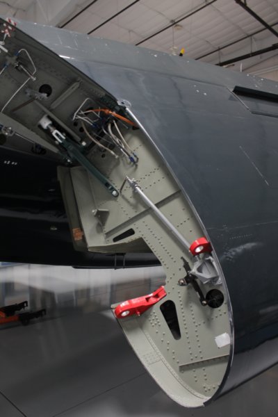 guardianbuno2673113.jpg