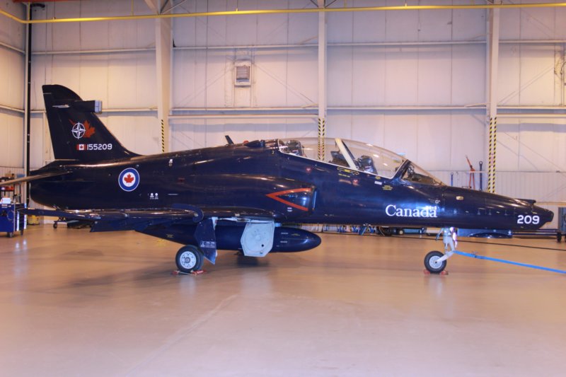 hawk155209.jpg
