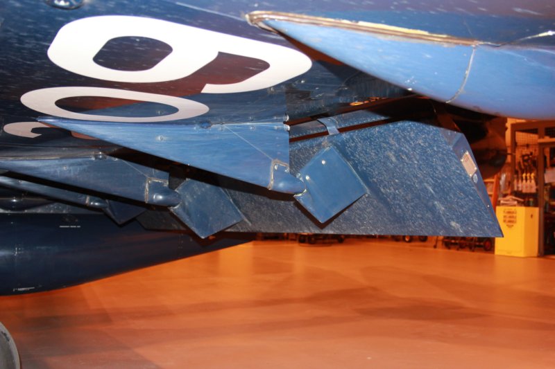 hawk15520933.jpg