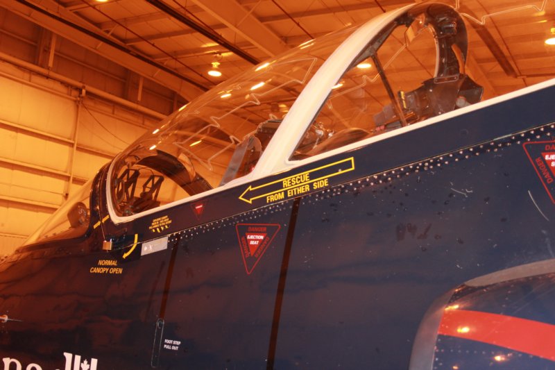 hawk15520935.jpg