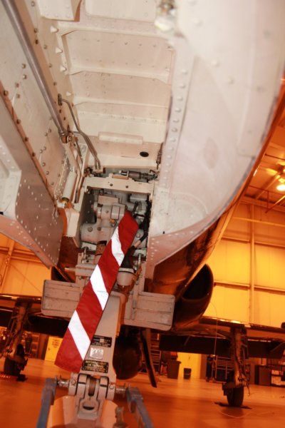 hawk15520937.jpg