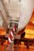 hawk15520937_small.jpg