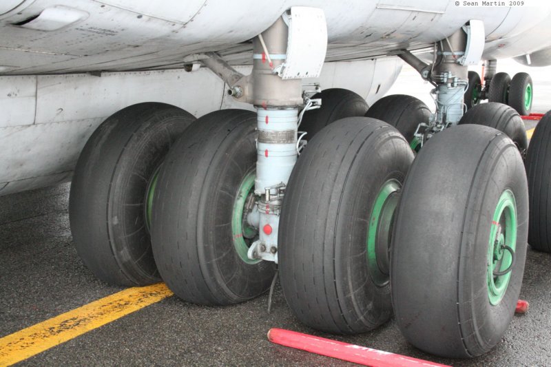 il76ra7884415.jpg