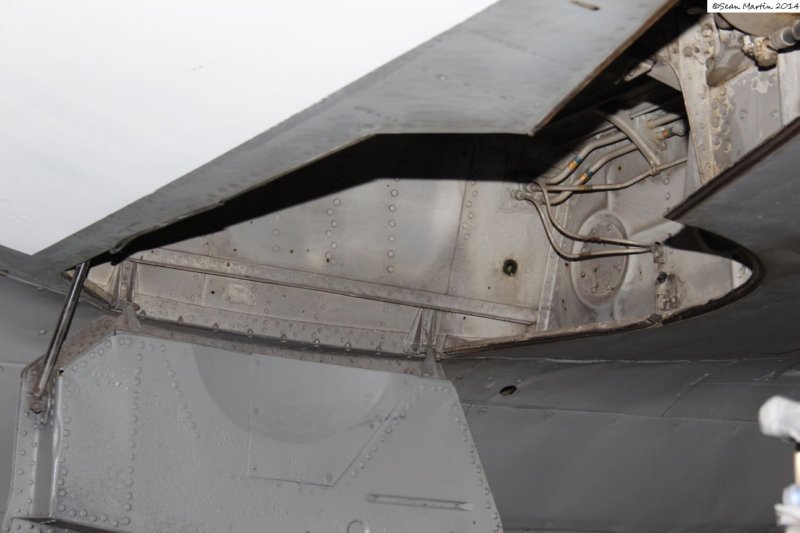 p4742232783.jpg