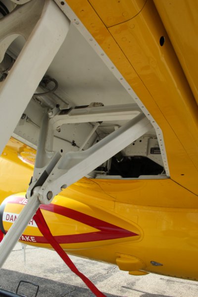 pinton13pj8.jpg