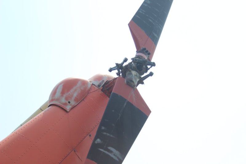 h52146616.jpg