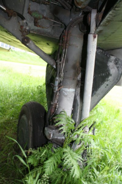 su75.jpg