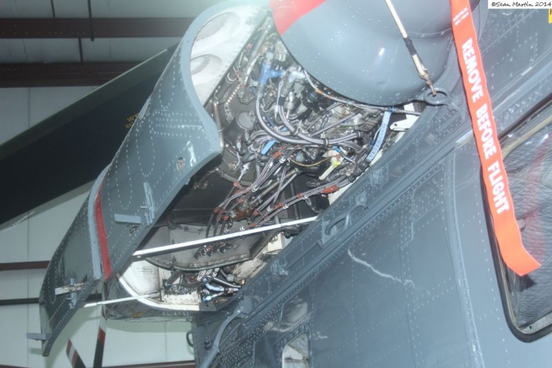 seasprite1619055.jpg