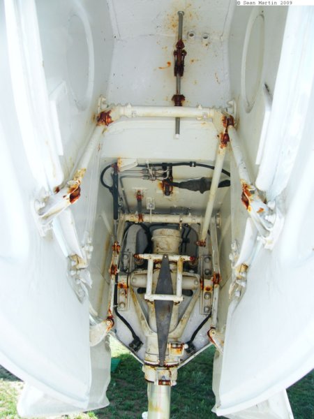 seastardisea3.jpg