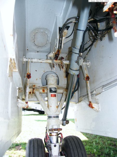 seastardisea5.jpg