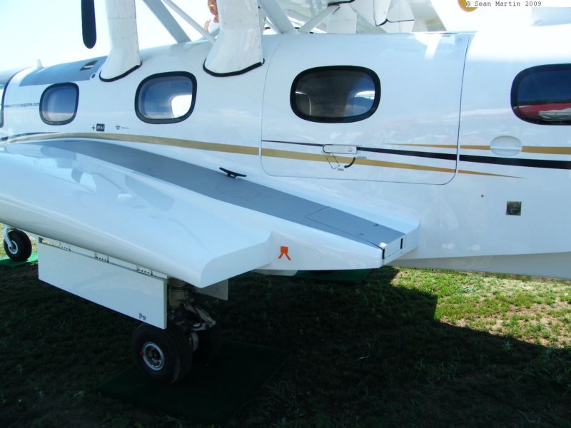 seastardisea9.jpg