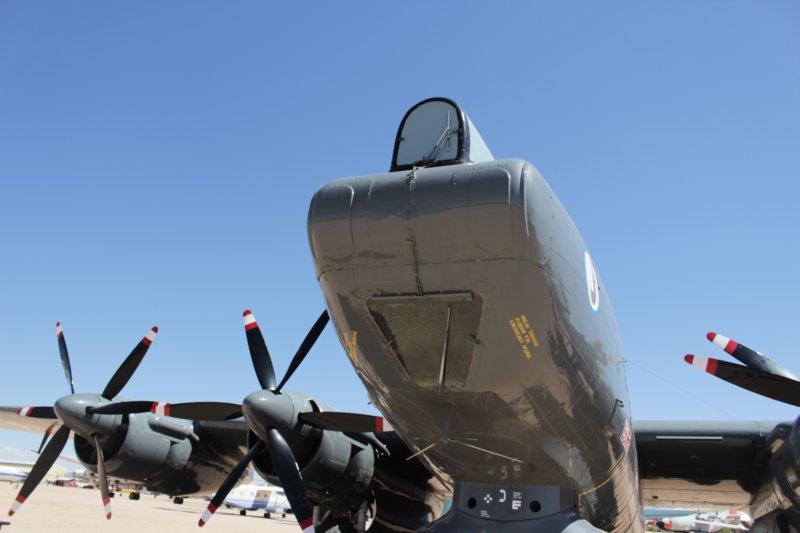 shackletonwl7907.jpg
