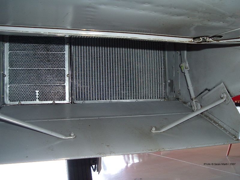photo9.jpg