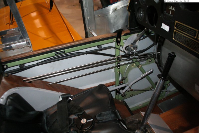 tigermothcfann8.jpg