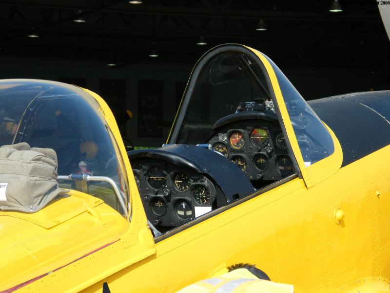 chipmunkcfbxg5.jpg