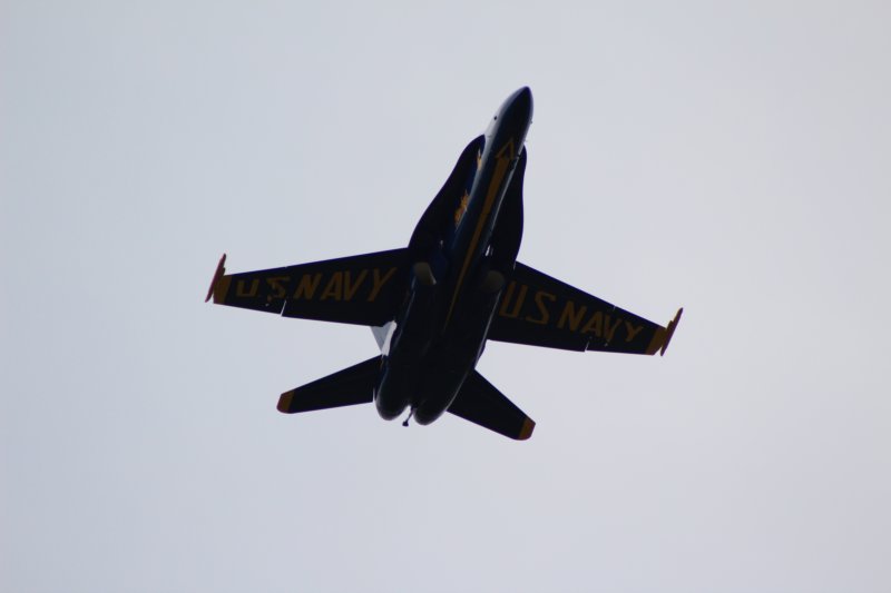 img_4337.jpg