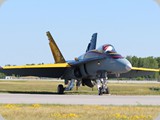 IMG_3223