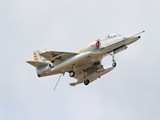 IMG_0192