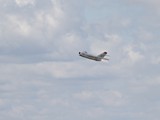 IMG_6971