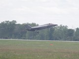 IMG_7184