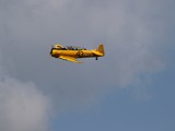 043A8303