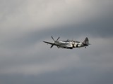 043A8393