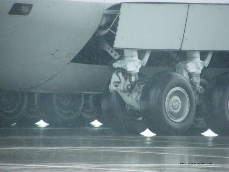 an1249.jpg