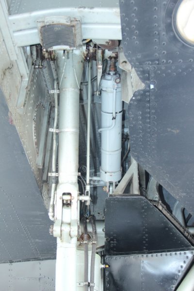 b24an2492736.jpg