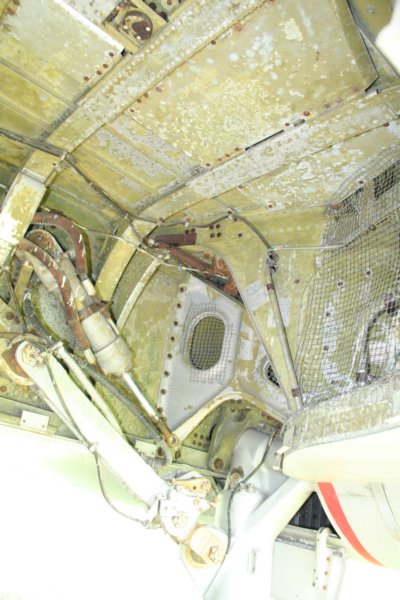 b575214265.jpg