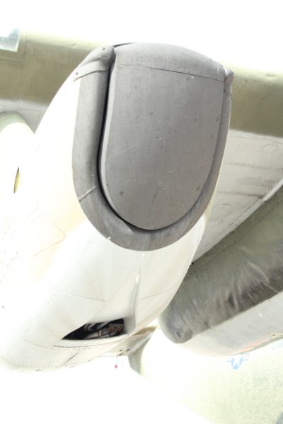 c123n2296811.jpg