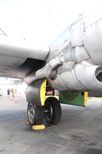 c97n117ga9.jpg